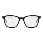 JASP 02, Havana Shiny-, hi-res image number null